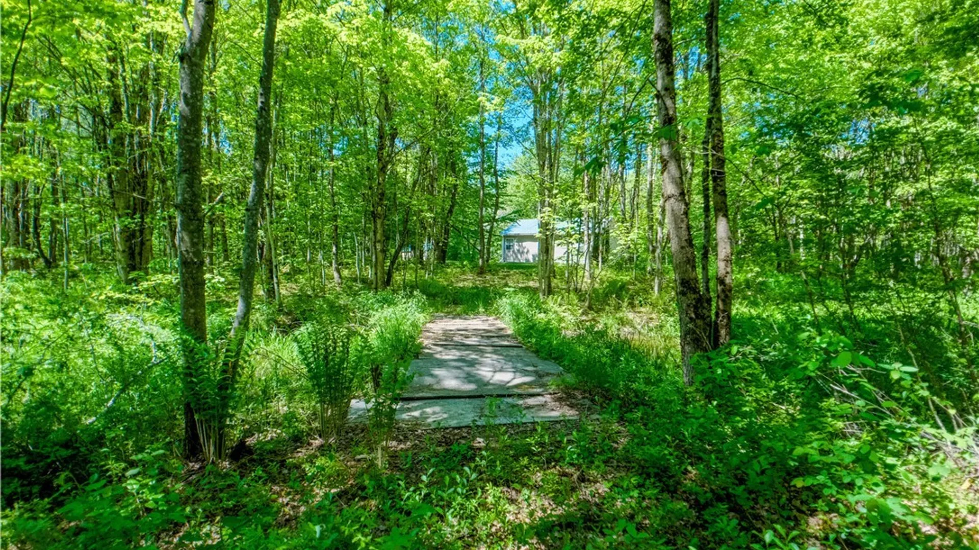 Property at 404 Old State Road, Redfield, NY 13437 35