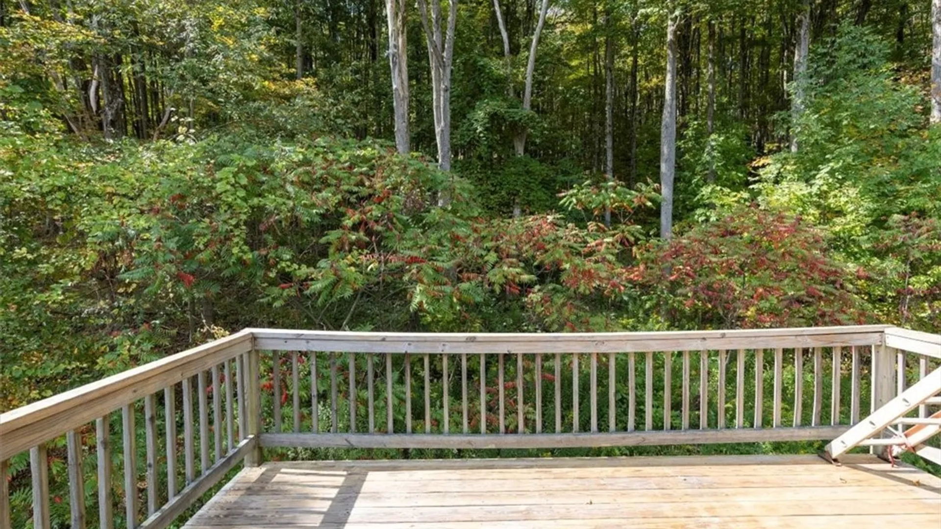 Property at 8540 Hayes Hollow Road, Colden, NY 14033 13