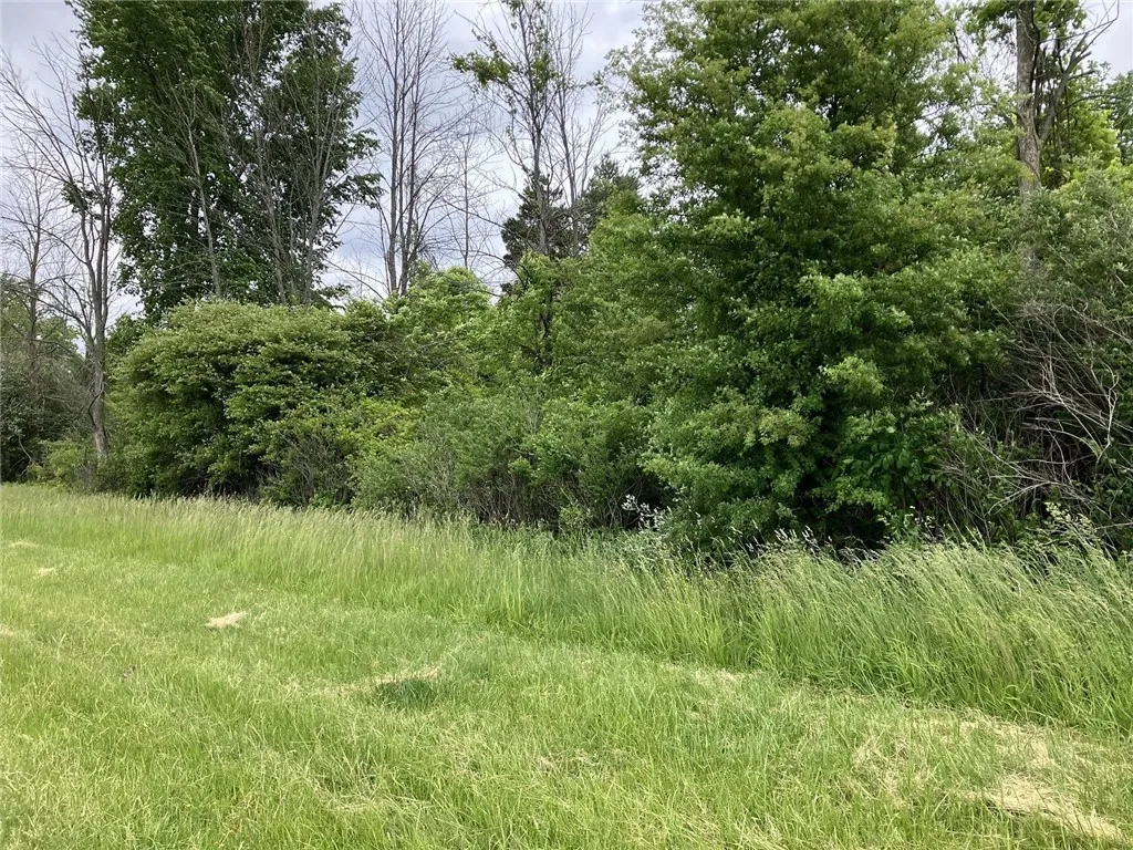 Property at 0 Lake Forest FL 42, Yates, NY 14098