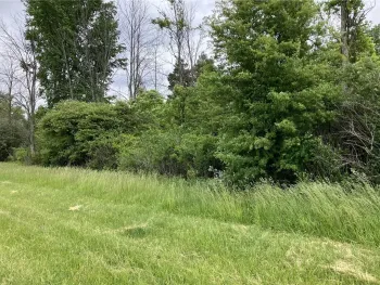 Property at 0 Lake Forest  FL 42, Yates, NY 14098