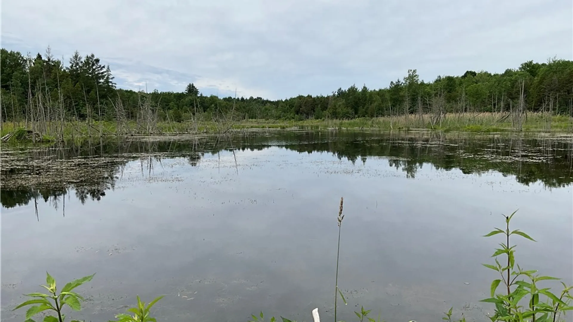 Property at 00 County Route 35, Potsdam, NY 13676 13