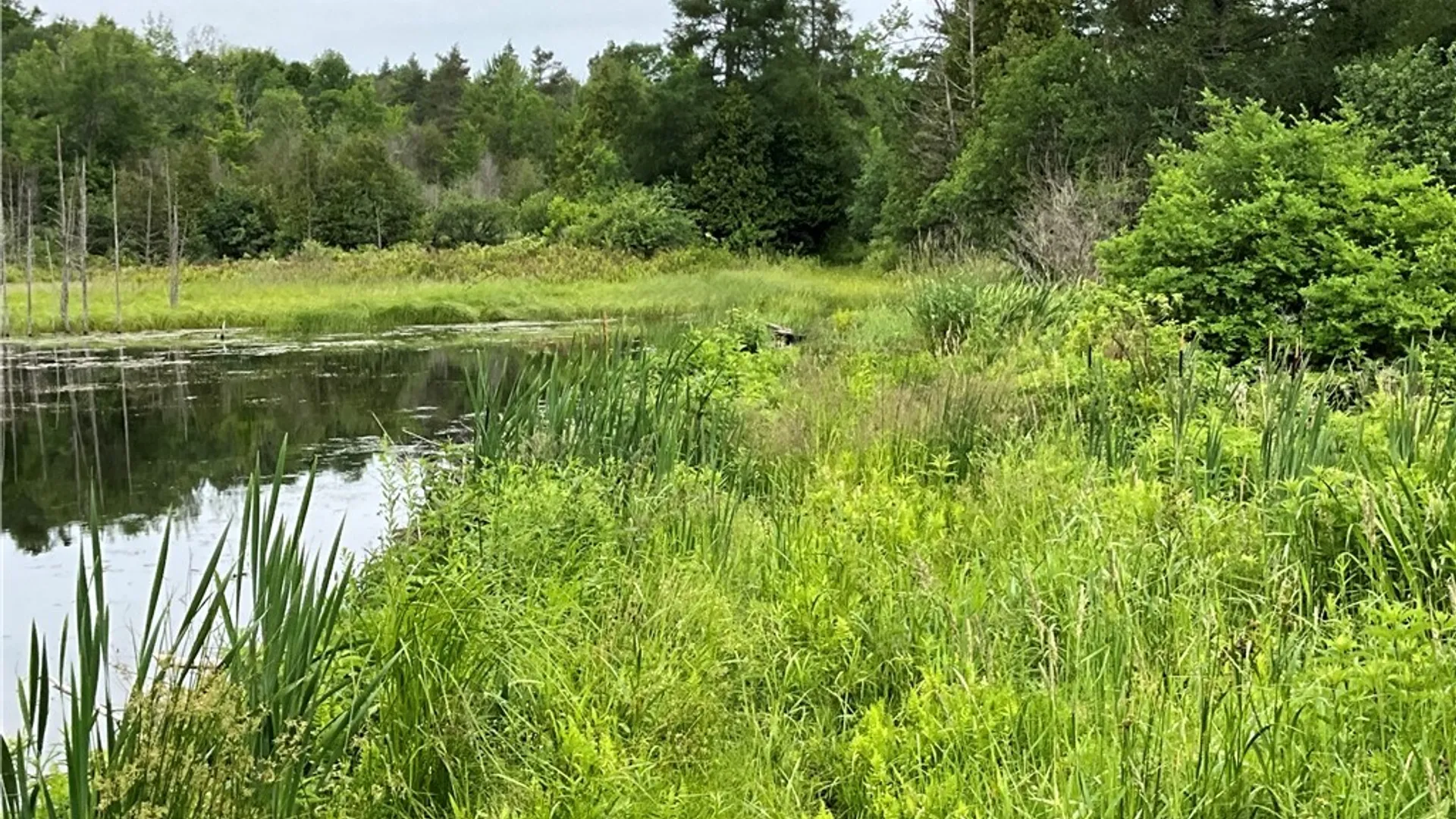 Property at 00 County Route 35, Potsdam, NY 13676 14