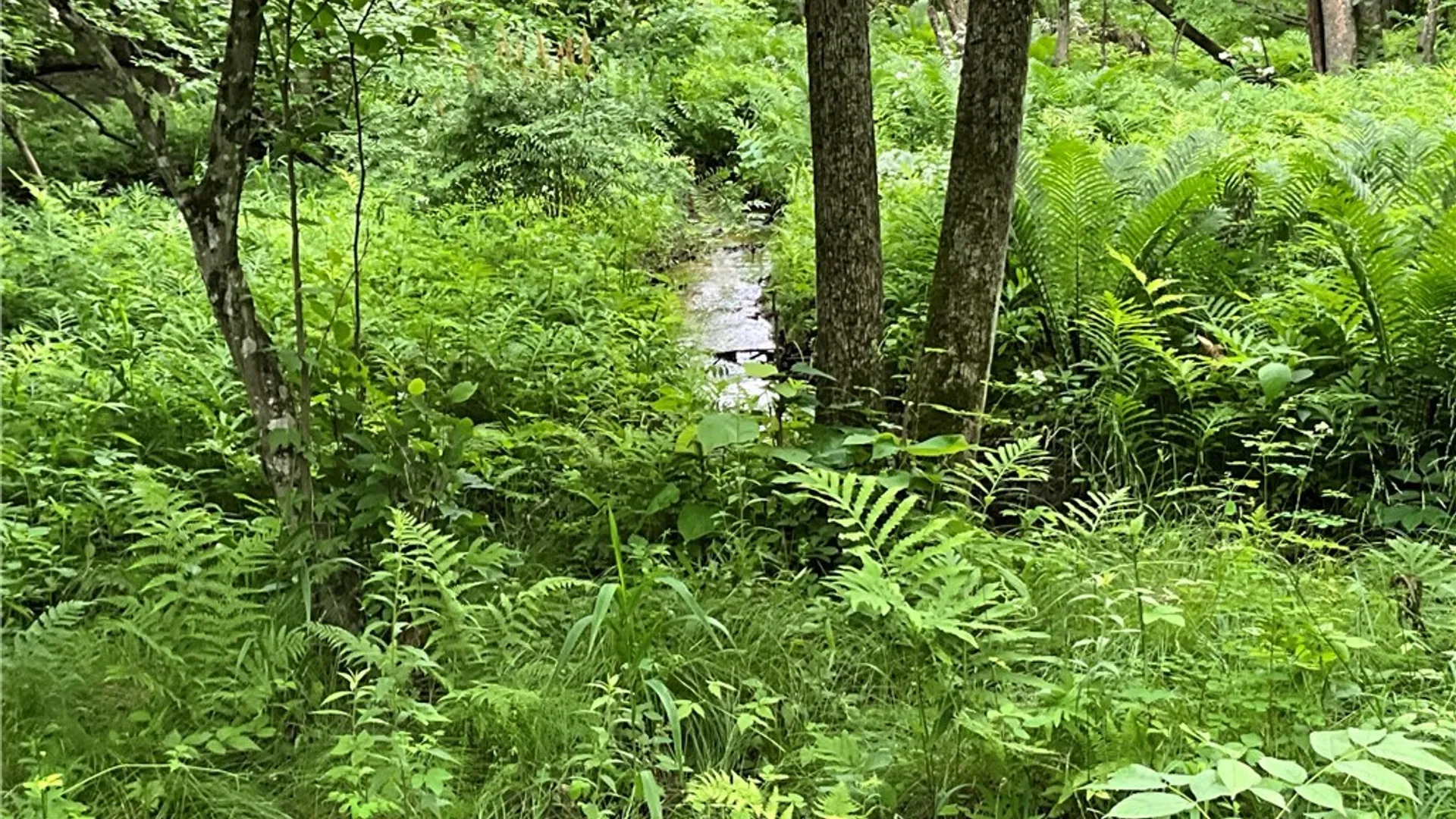 Property at 00 County Route 35, Potsdam, NY 13676 19