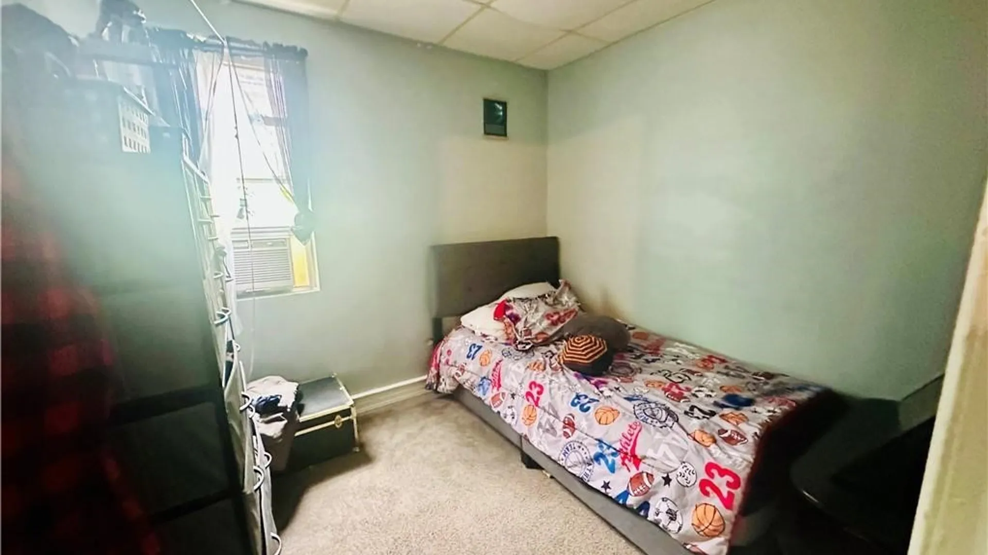 Property at 253 Gold Street, Buffalo, NY 14206 24