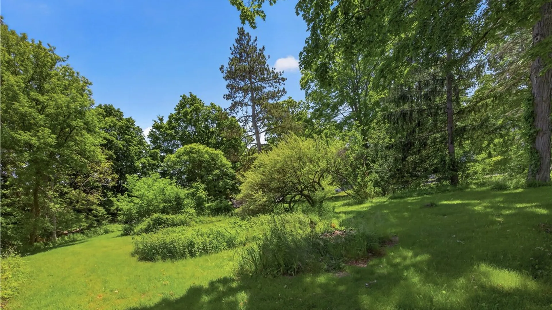 Property at 55 Cornelia Street, Torrey, NY 14441 4
