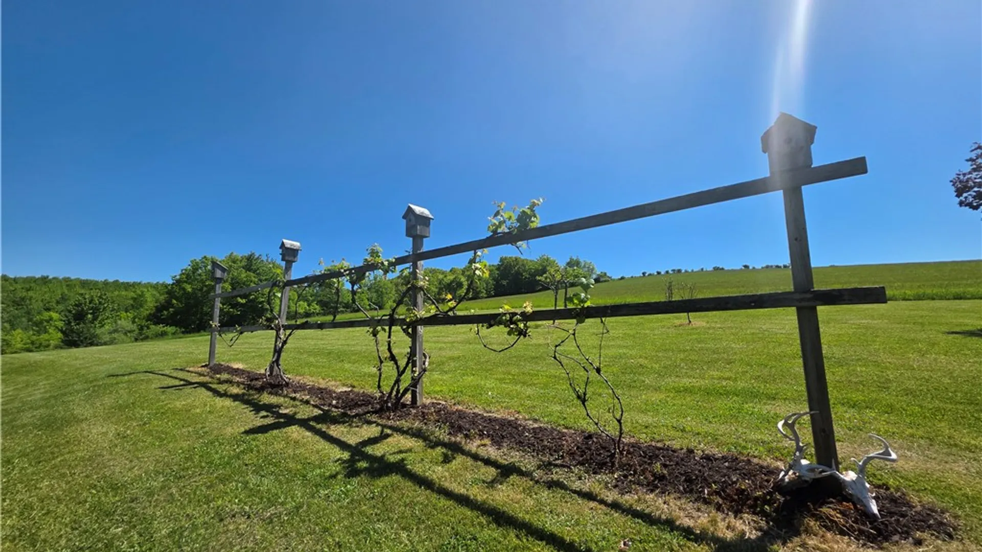 Property at 1069 Bollen Road, Troupsburg, NY 14885 27