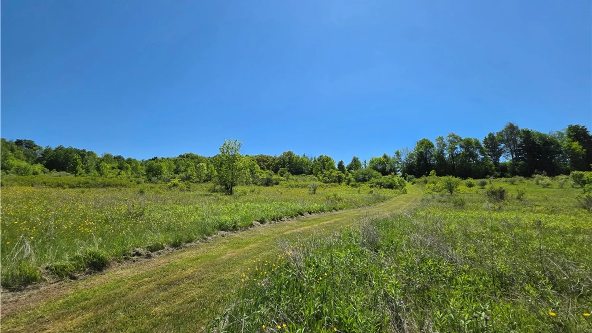 Property at 1069 Bollen Road, Troupsburg, NY 14885 39