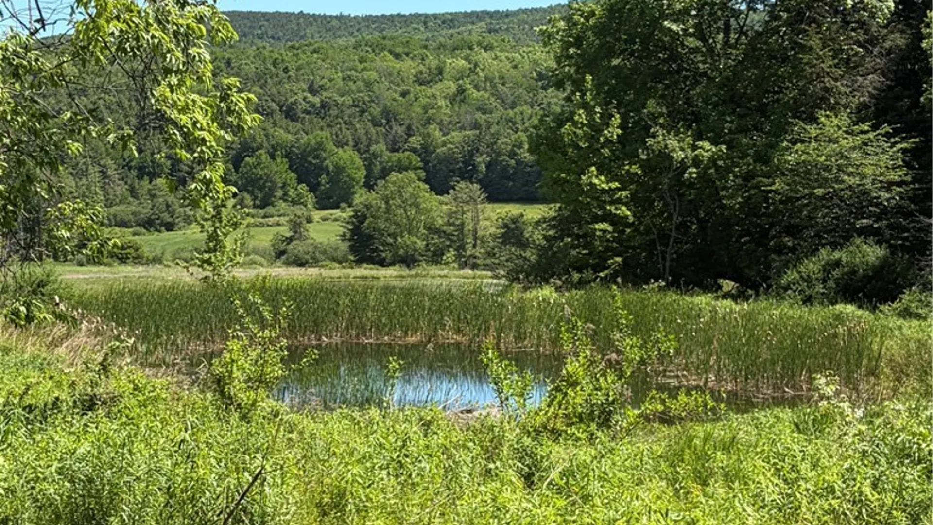 Property at 548 Shew Hollow Road, Gilboa, NY 12167 13