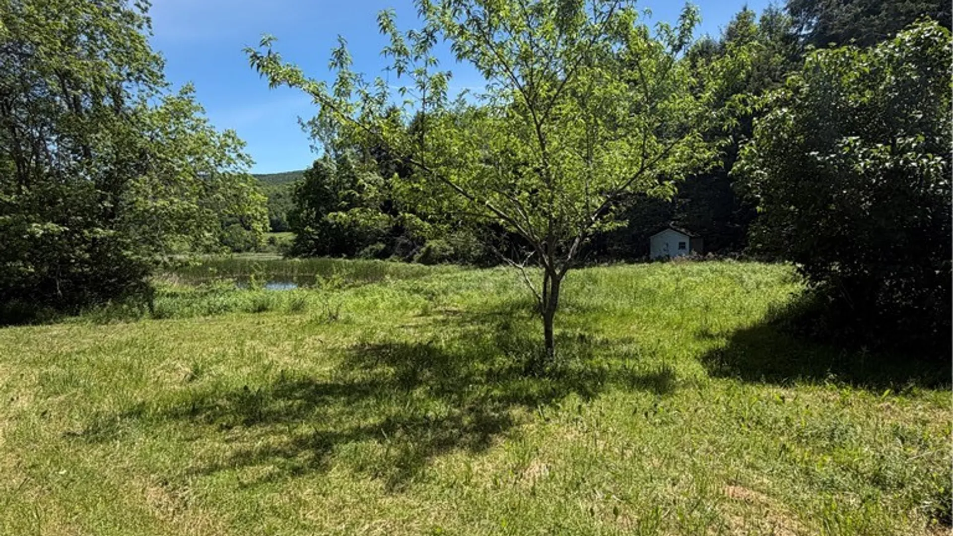 Property at 548 Shew Hollow Road, Gilboa, NY 12167 14