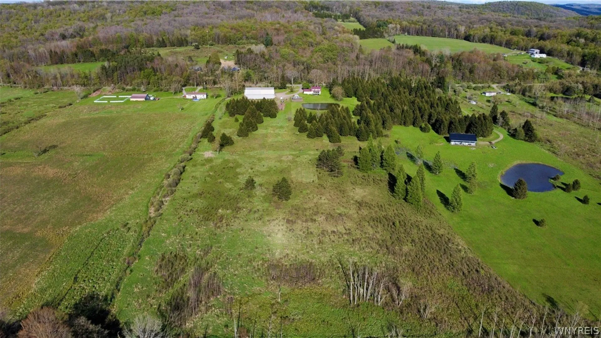 Property at 9511 Utley Road, East Otto, NY 14729 23