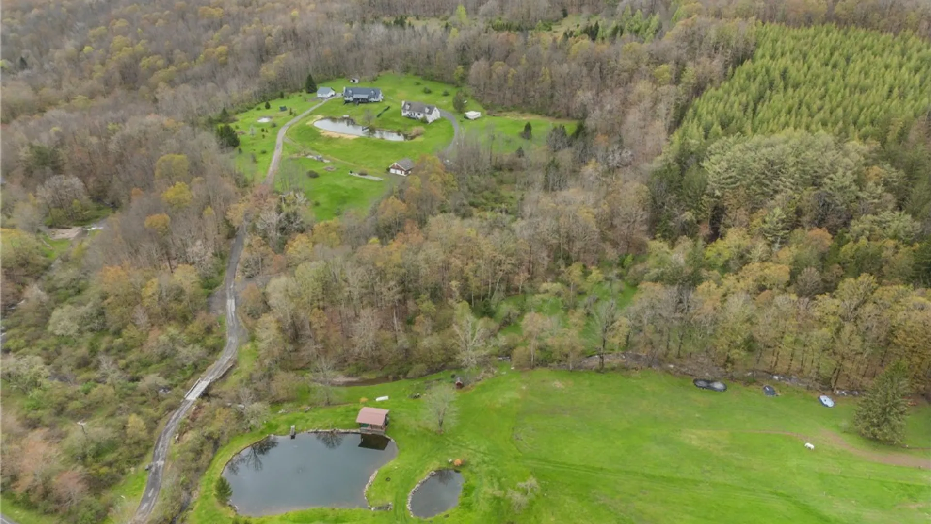 Property at 1035 Schofield Road, Deposit, NY 13754 9