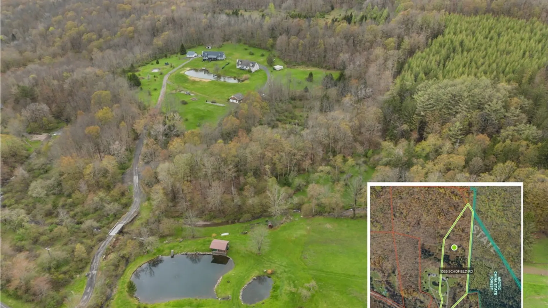 Property at 1035 Schofield Road, Deposit, NY 13754 10