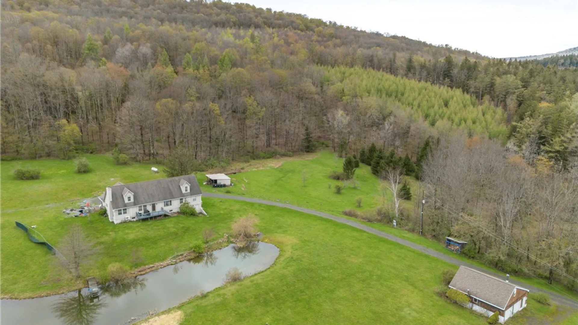 Property at 1035 Schofield Road, Deposit, NY 13754 13