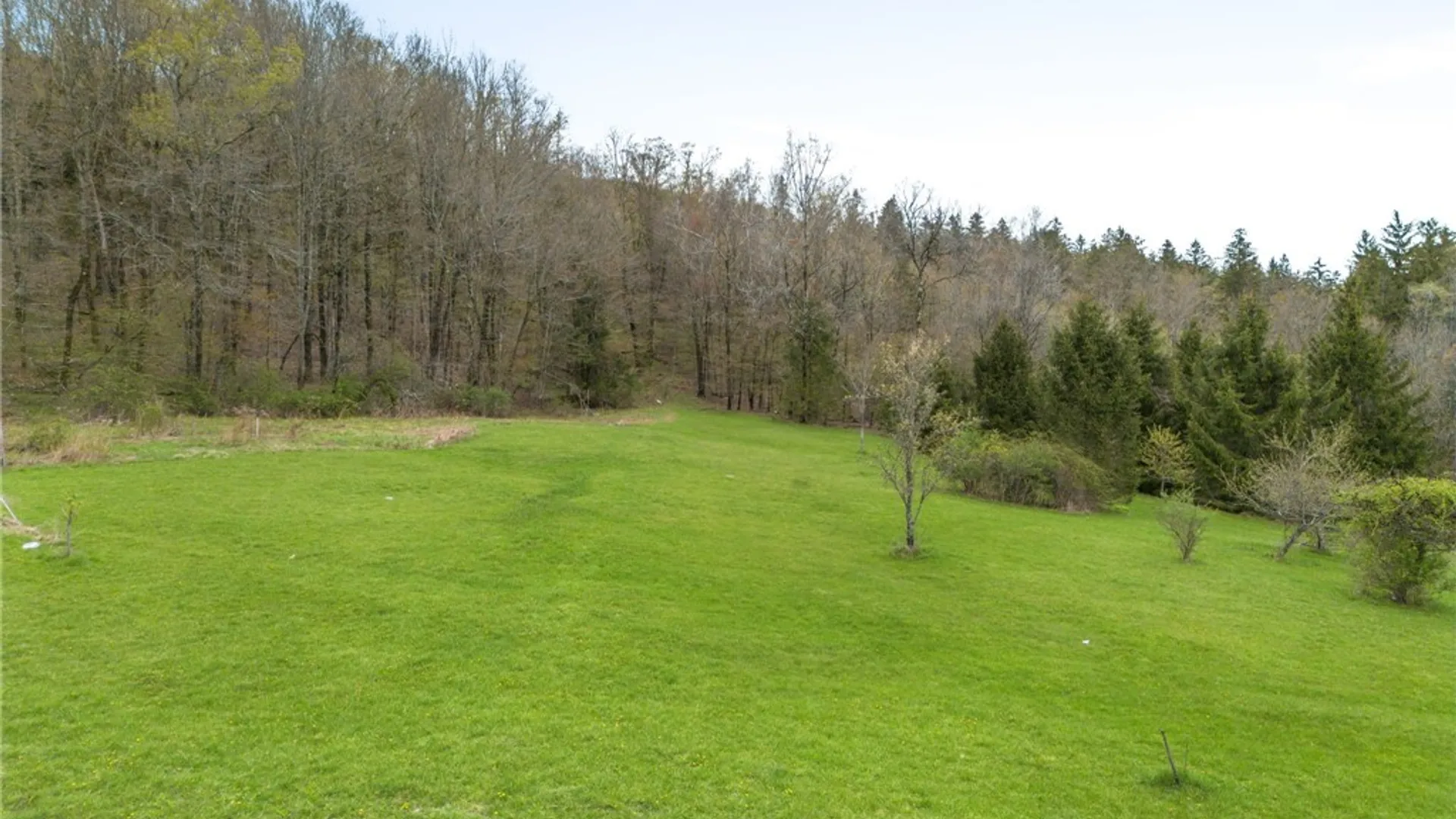 Property at 1035 Schofield Road, Deposit, NY 13754 16