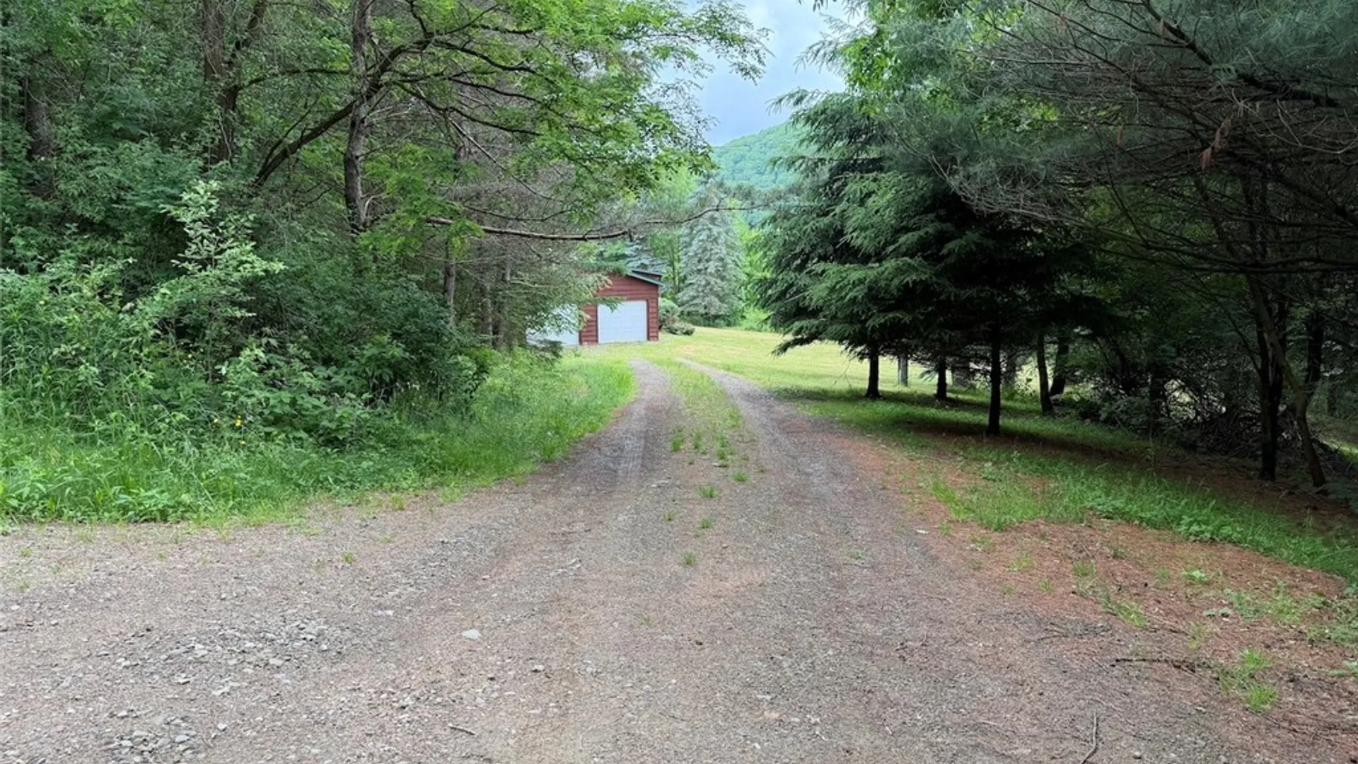 Property at 3773 Haskell Valley View Road, Clarksville, NY 14786 49