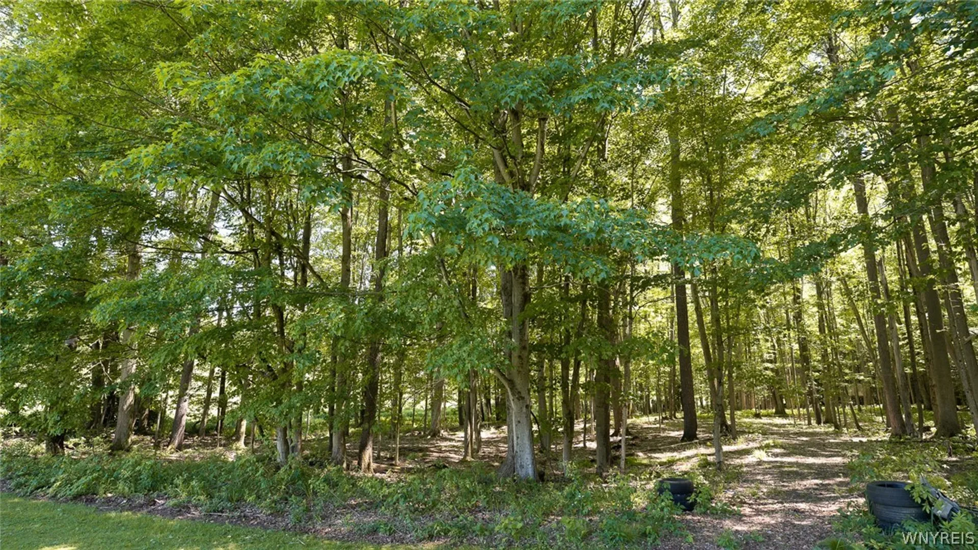 Property at 12750 Van Slyke Road, Sardinia, NY 14055 43