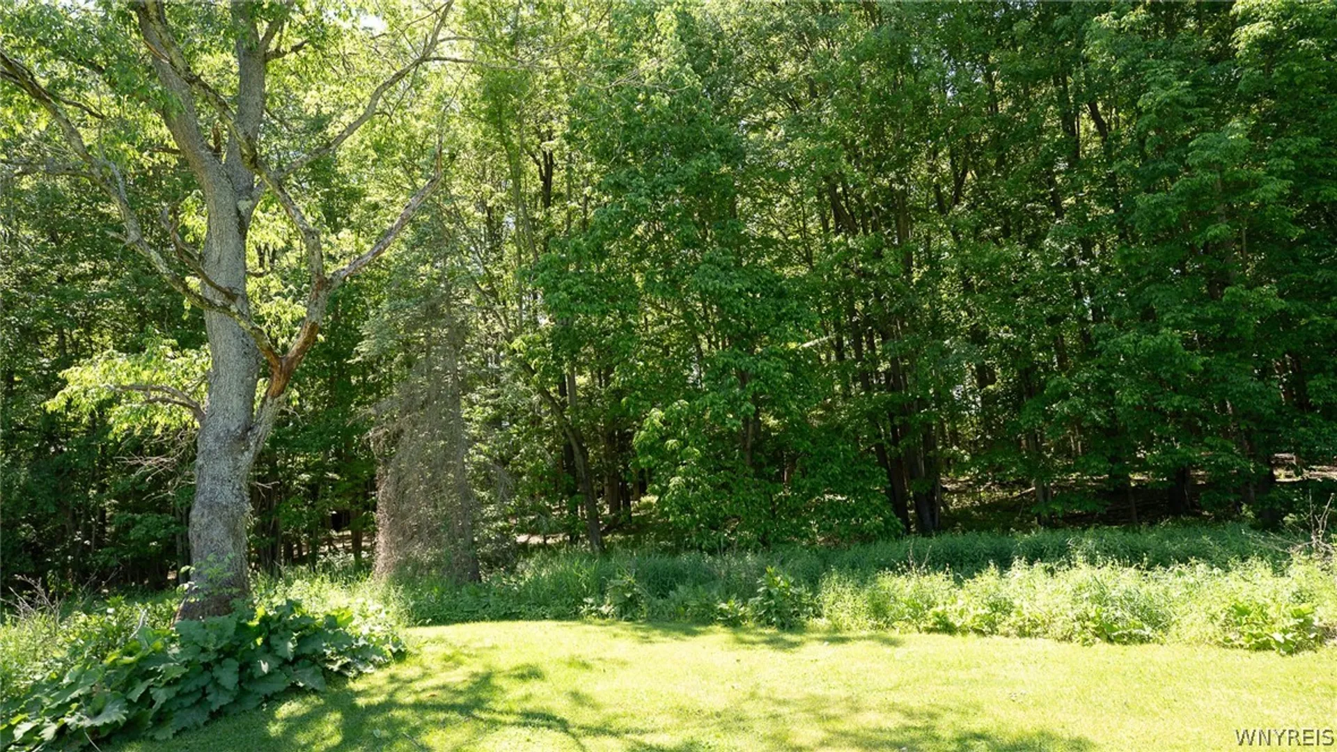 Property at 12750 Van Slyke Road, Sardinia, NY 14055 45
