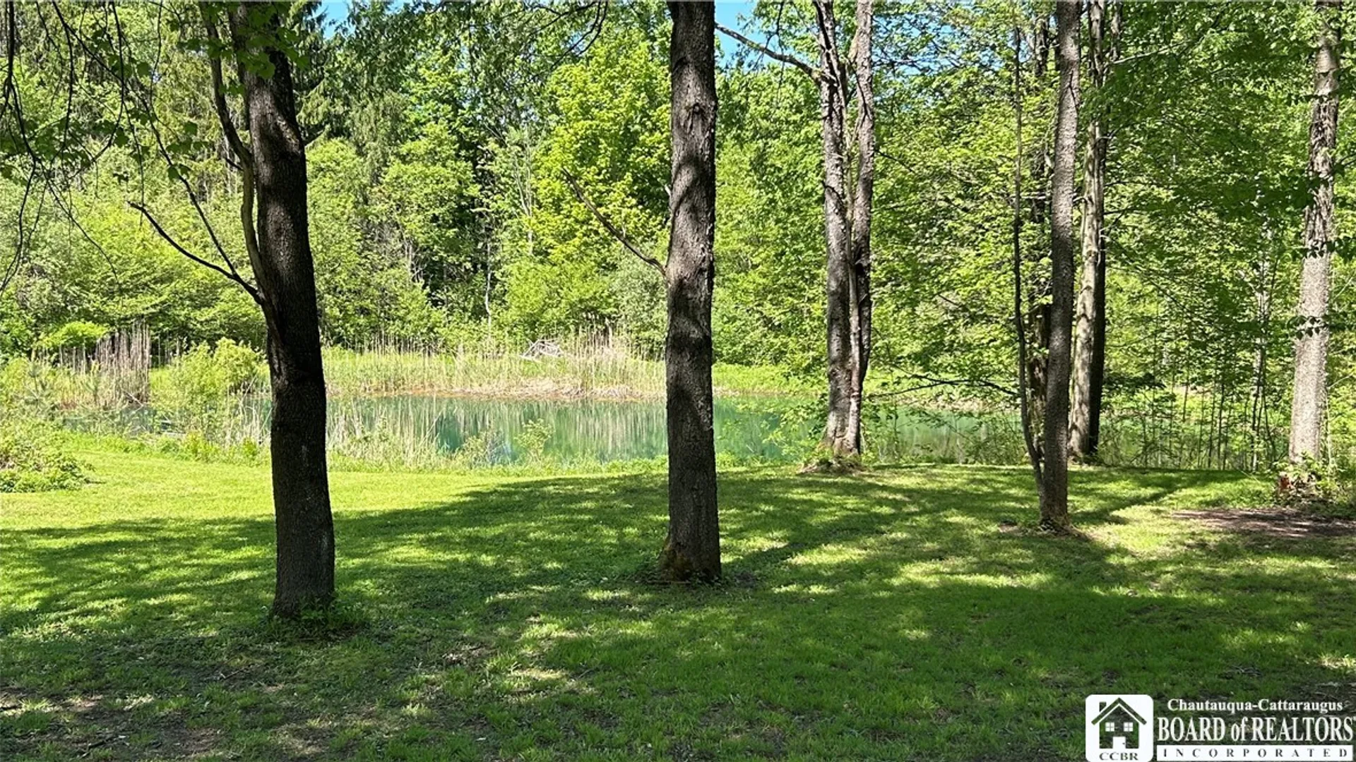 Property at 5386 Dean Road, Stockton, NY 14784 43