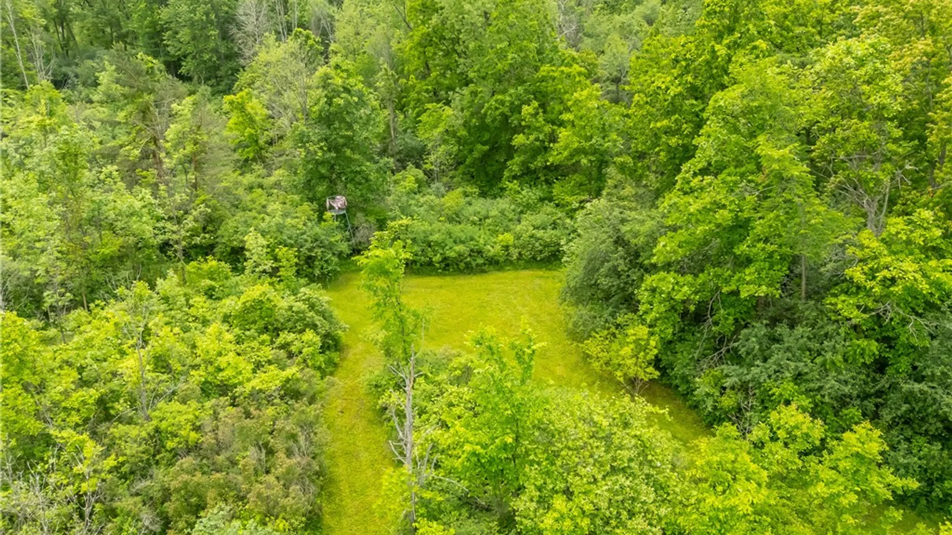 Property at 894 Ladue Road, Sweden, NY 14420 12
