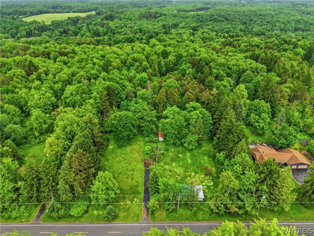 Property at 7499 Irish Road, Colden, NY 14170