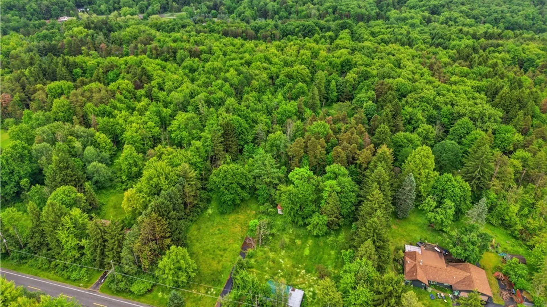 Property at 7499 Irish Road, Colden, NY 14170 4