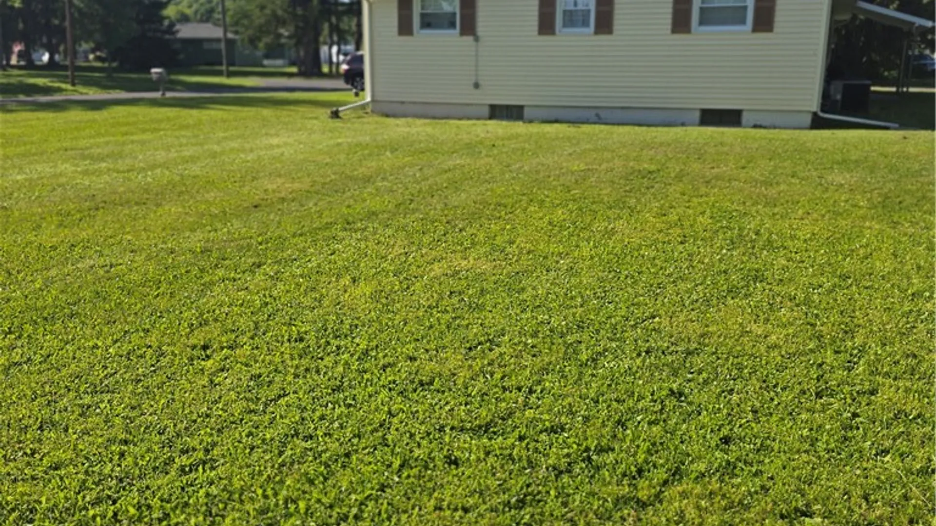 Property at 16 Deo Street, Big Flats, NY 14845 39