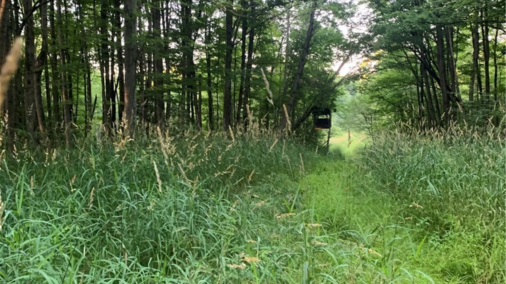 Property at 5113 Maple Springs-Ellery Road, Ellery, NY 14712 46
