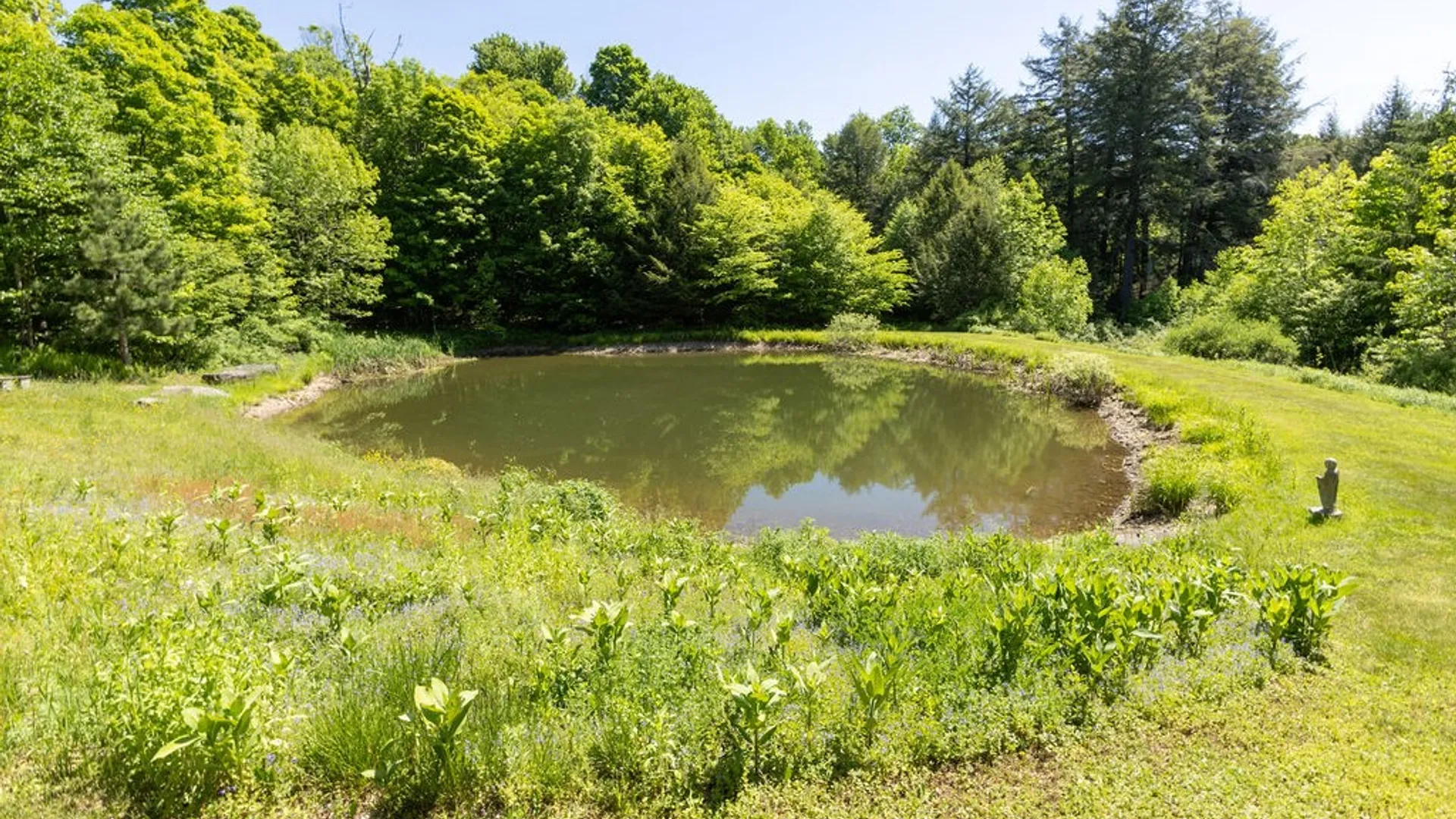 Property at 6000 Dryden Road, Tompkins, NY 13856 42
