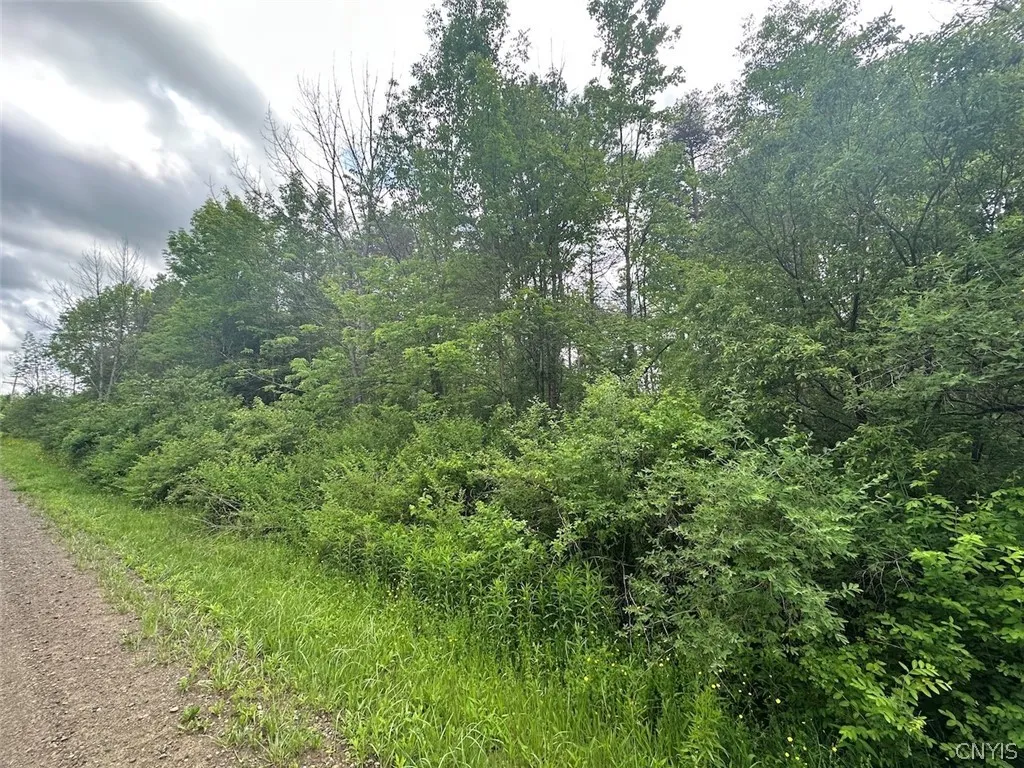 Property at Townline Road, Allen, NY 14709
