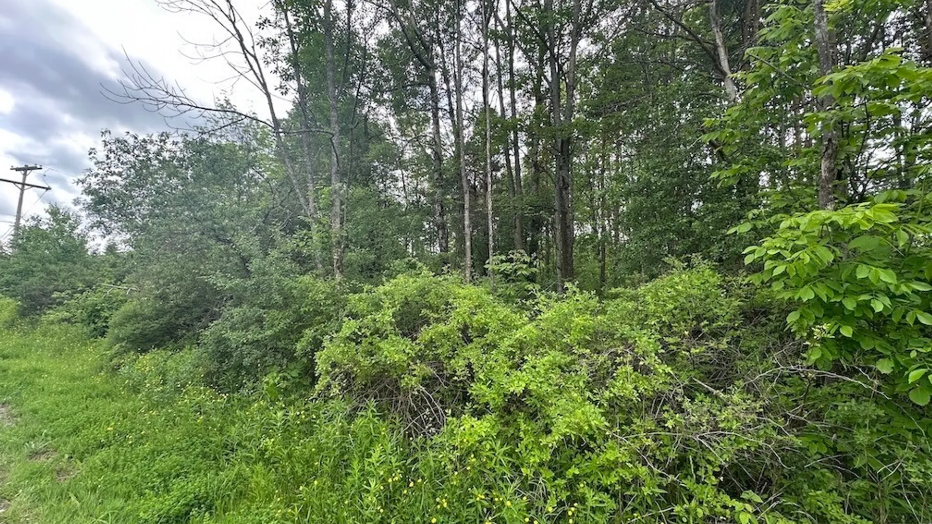 Property at Townline Road, Allen, NY 14709 3
