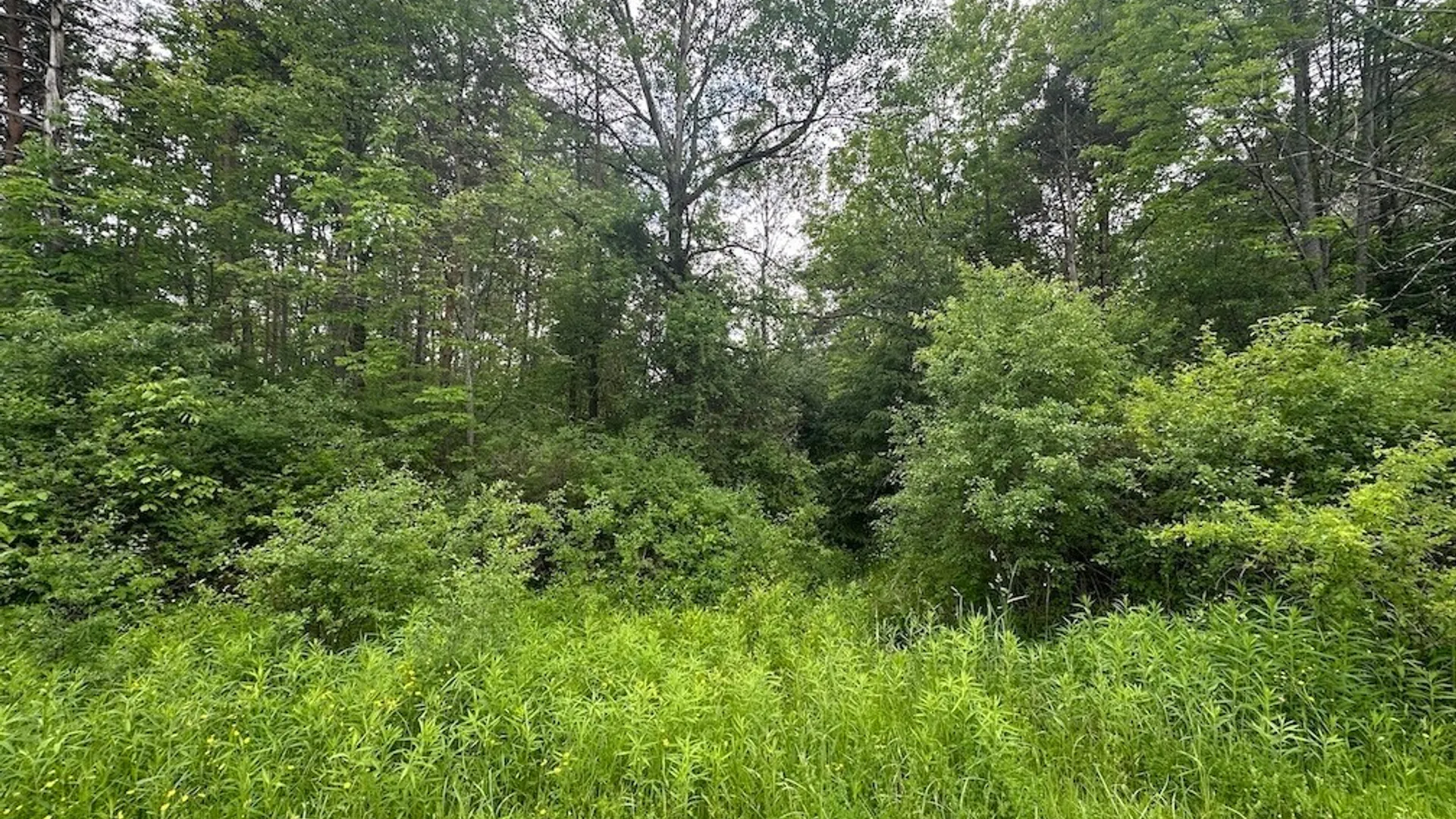 Property at Townline Road, Allen, NY 14709 5
