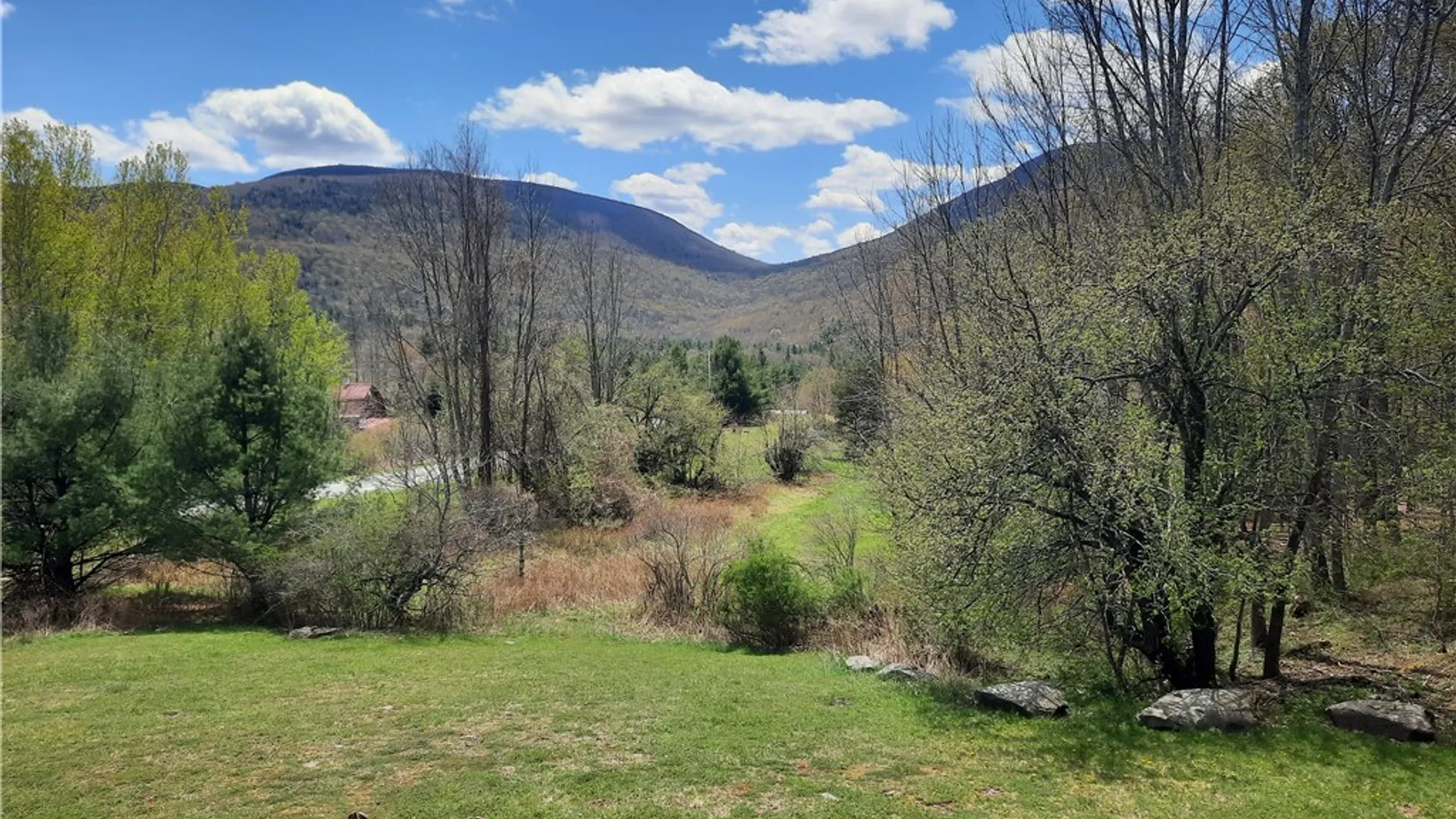 Property at 295 Tumbleweed Ranch Road, Lexington, NY 12452 4