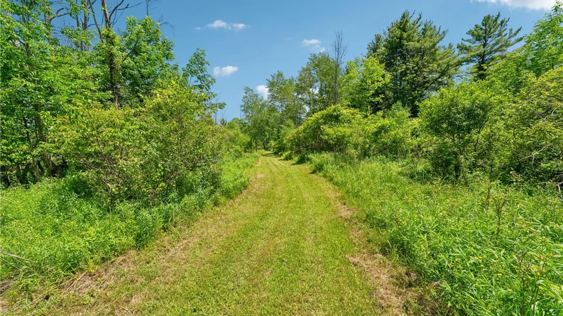 Property at 2029 Nesbitt Road, Orangeville, NY 14011 39