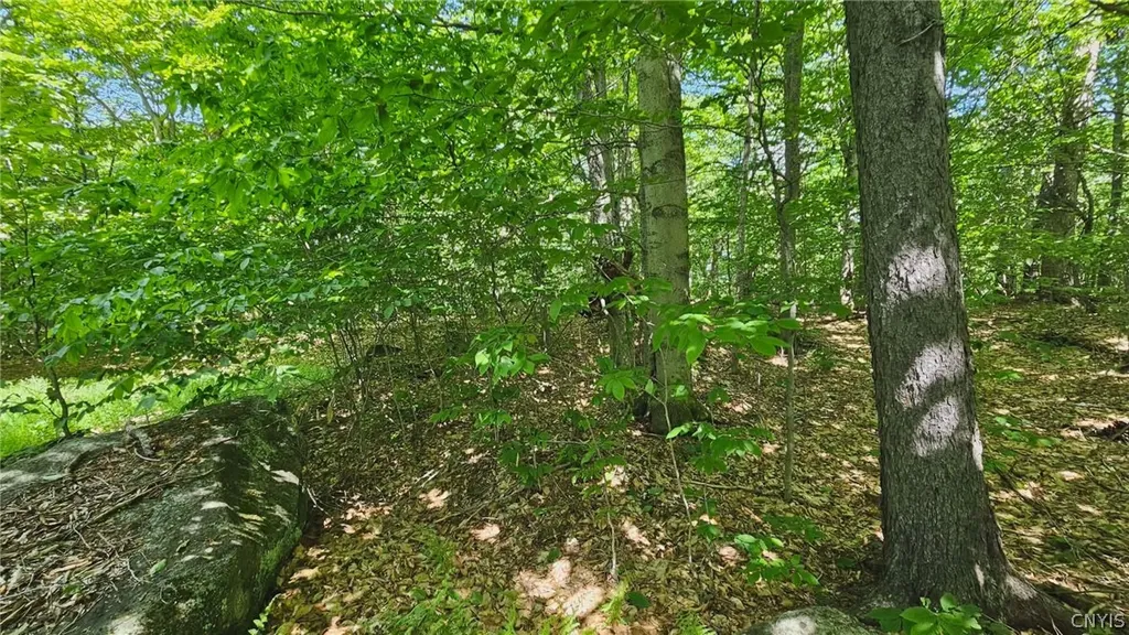 Property at Summit Place, Webb, NY 13420
