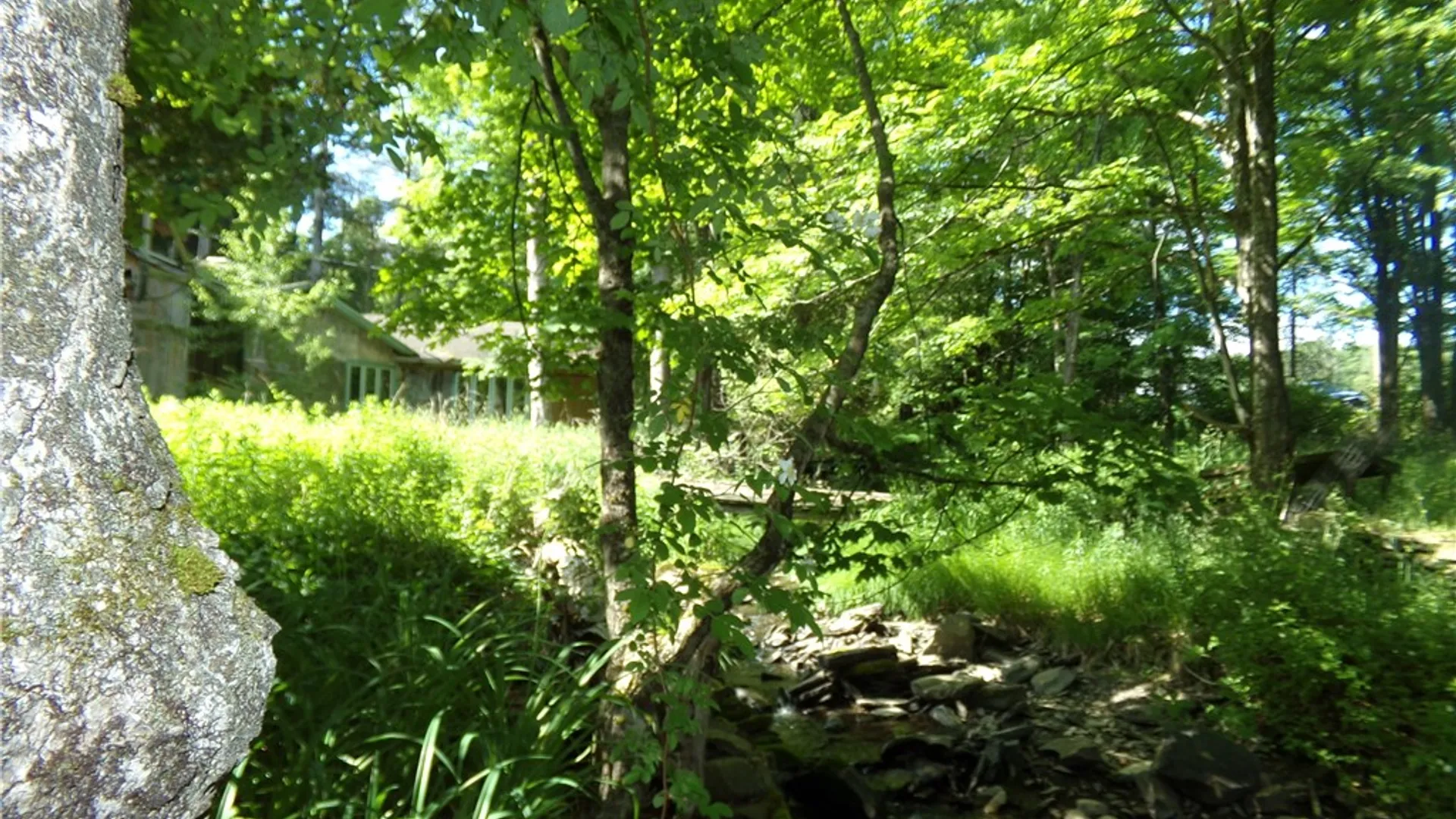 Property at 293 Lockwood Hill Road, Unadilla, NY 13849 6