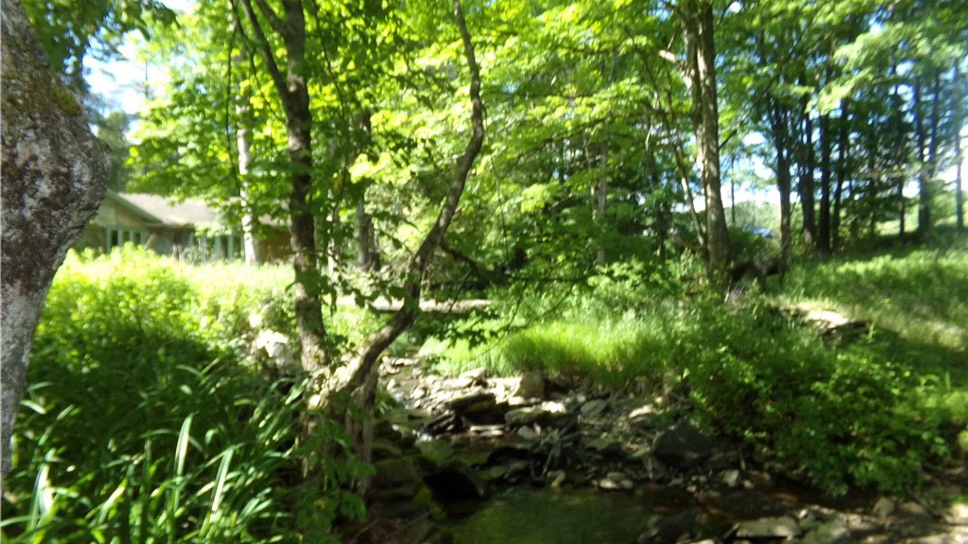 Property at 293 Lockwood Hill Road, Unadilla, NY 13849 9