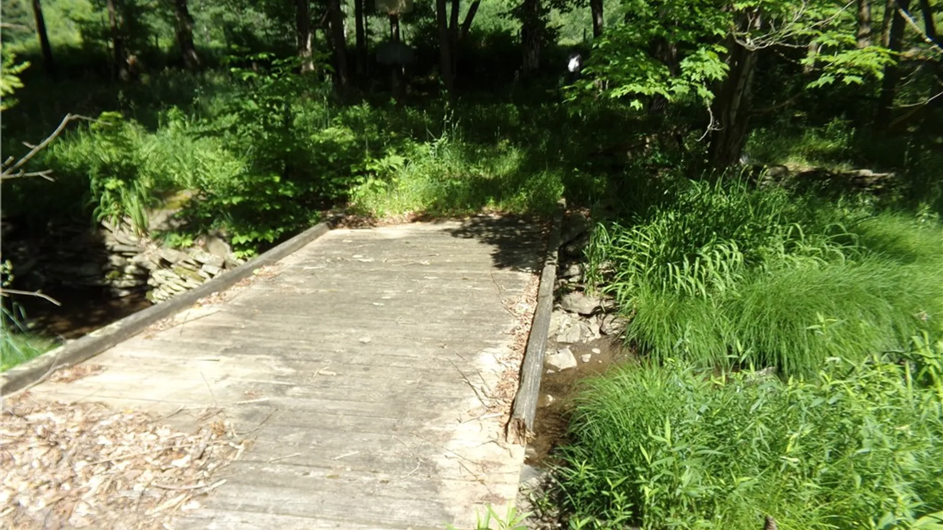 Property at 293 Lockwood Hill Road, Unadilla, NY 13849 12