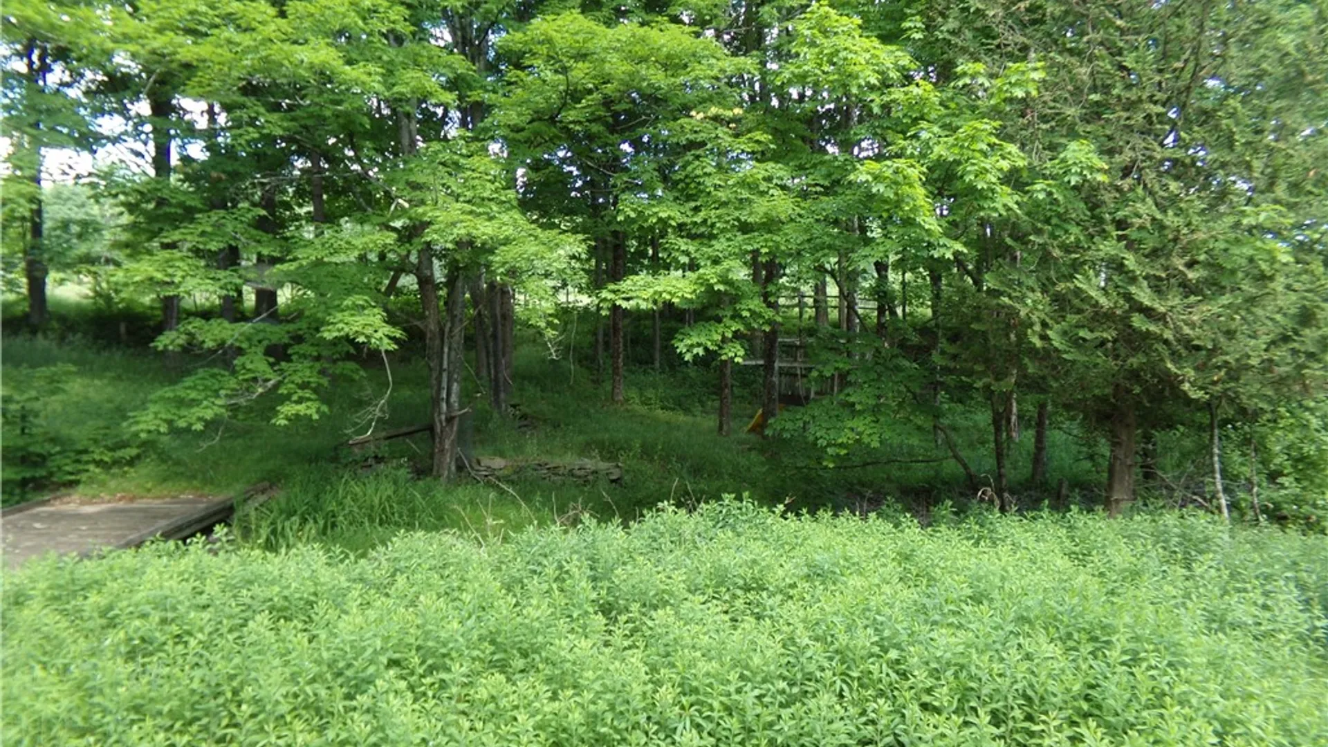 Property at 293 Lockwood Hill Road, Unadilla, NY 13849 13