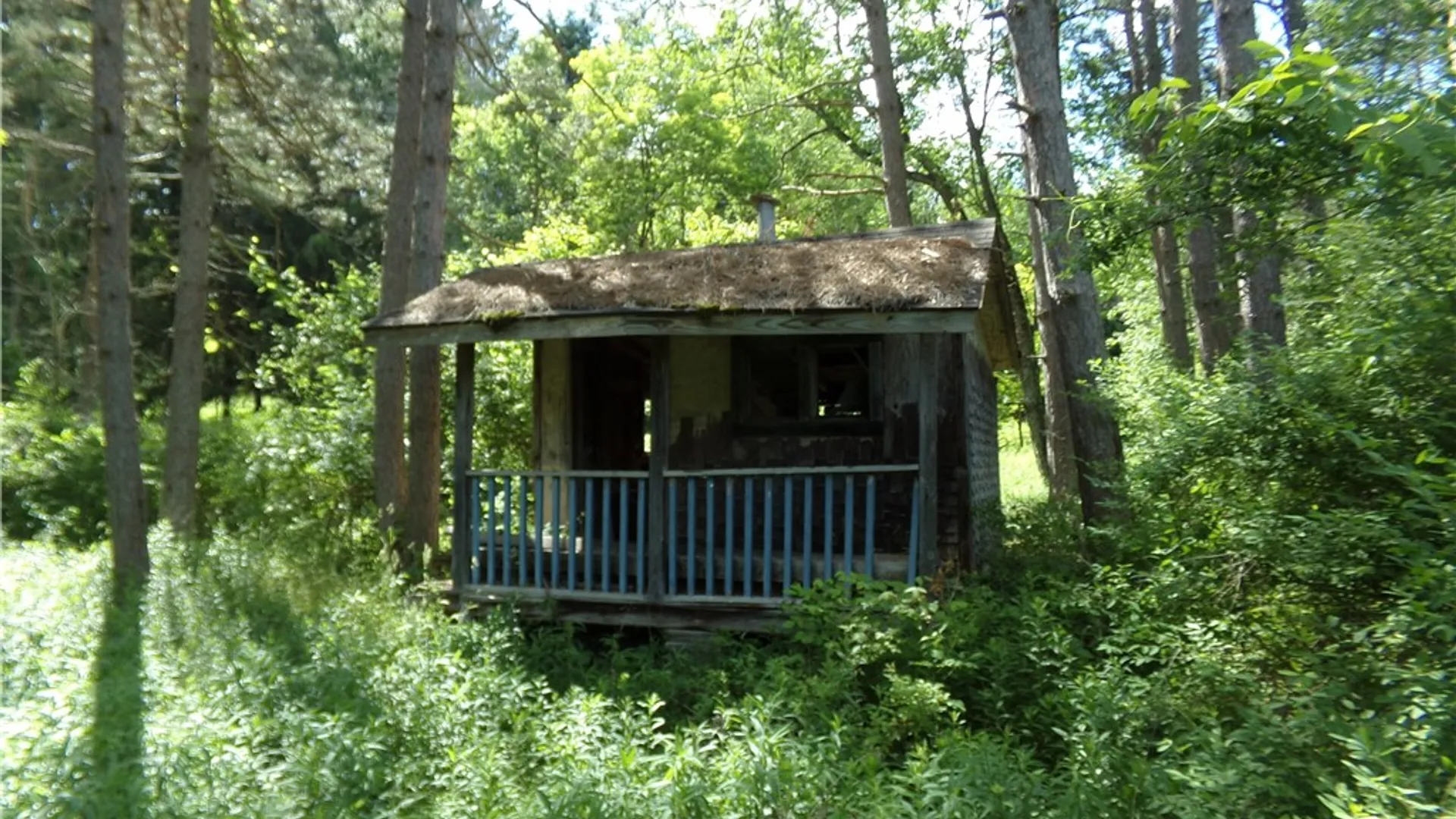 Property at 293 Lockwood Hill Road, Unadilla, NY 13849 16