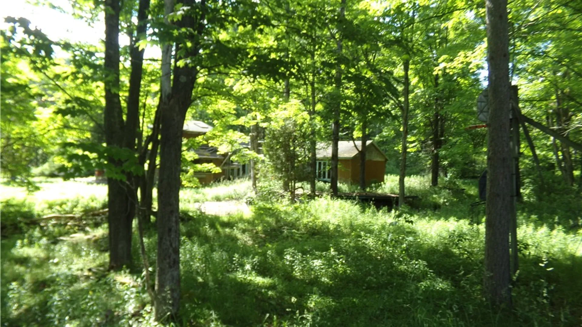 Property at 293 Lockwood Hill Road, Unadilla, NY 13849 3