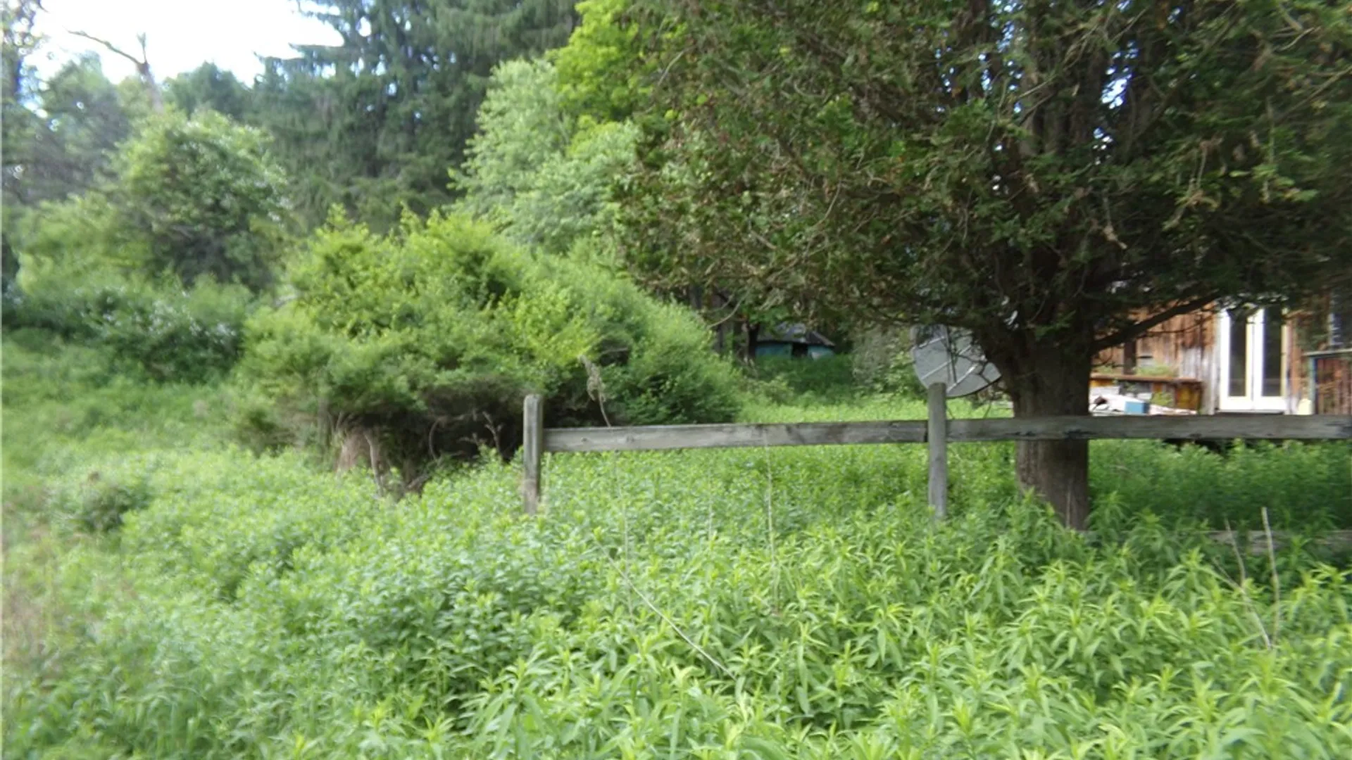 Property at 293 Lockwood Hill Road, Unadilla, NY 13849 5