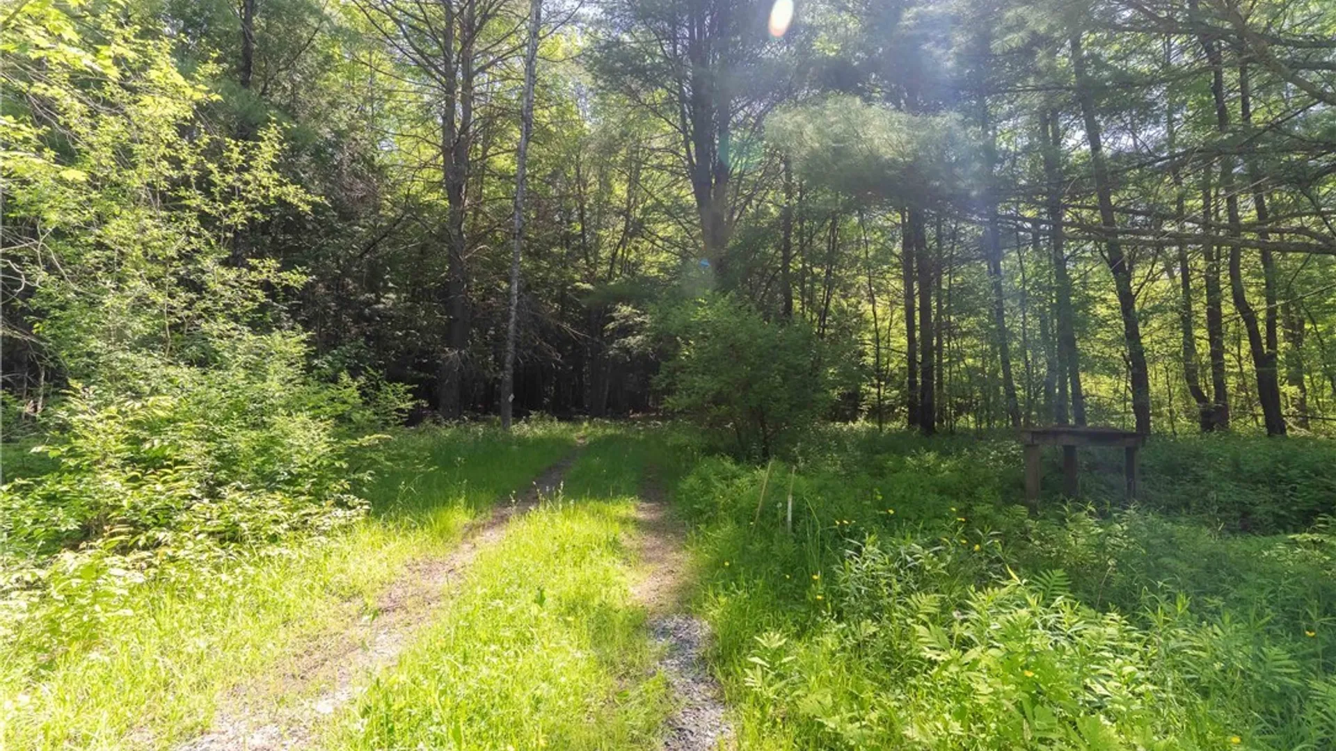 Property at 4055 Cr-15a, Allen, NY 14709 27
