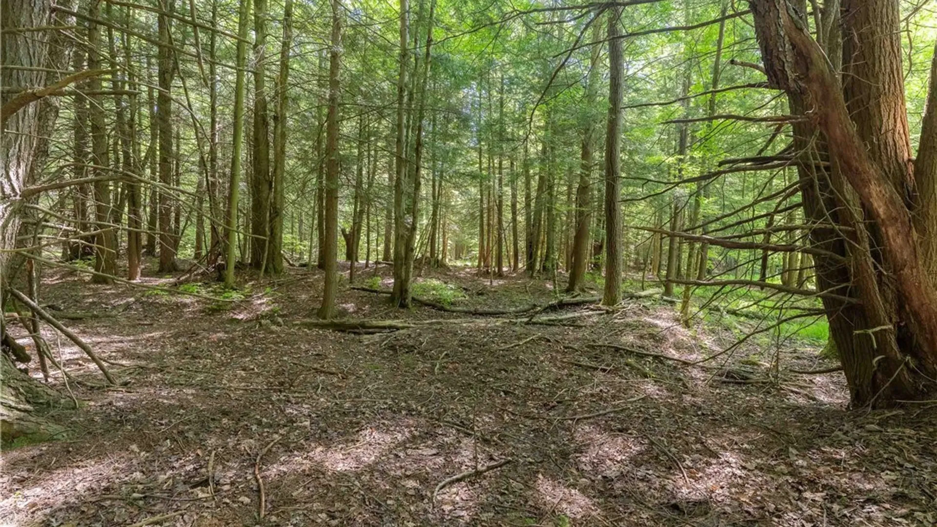 Property at 4055 Cr-15a, Allen, NY 14709 30
