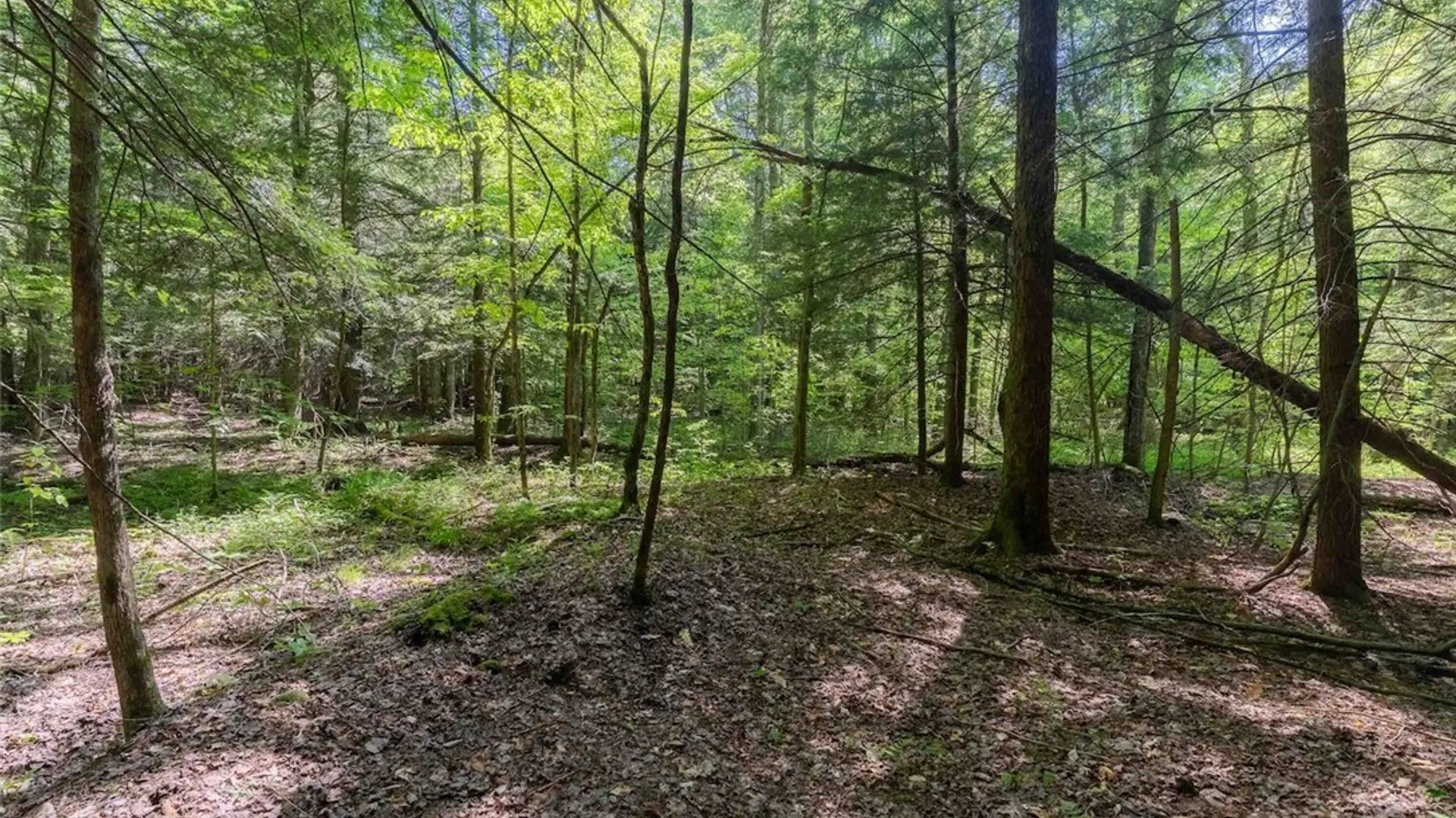 Property at 4055 Cr-15a, Allen, NY 14709 31