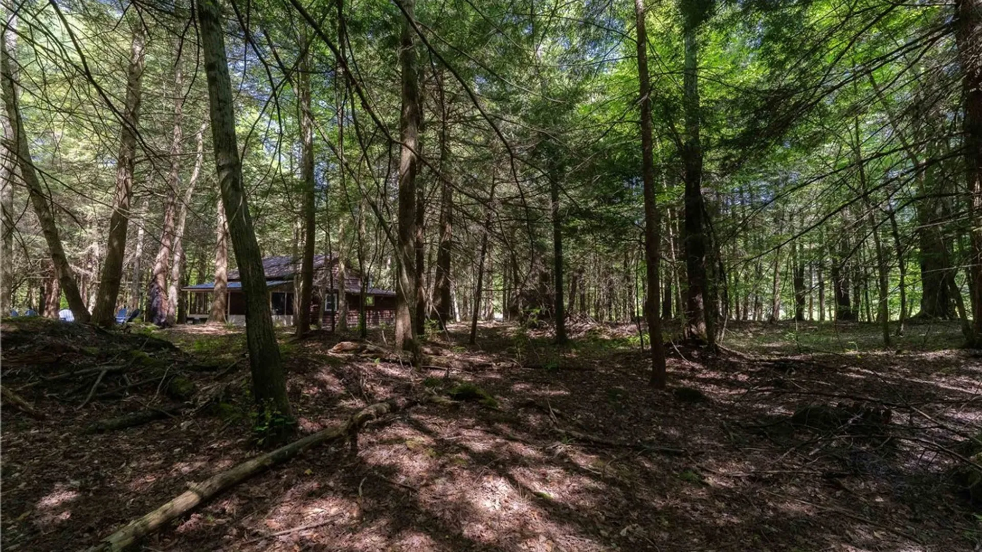 Property at 4055 Cr-15a, Allen, NY 14709 32
