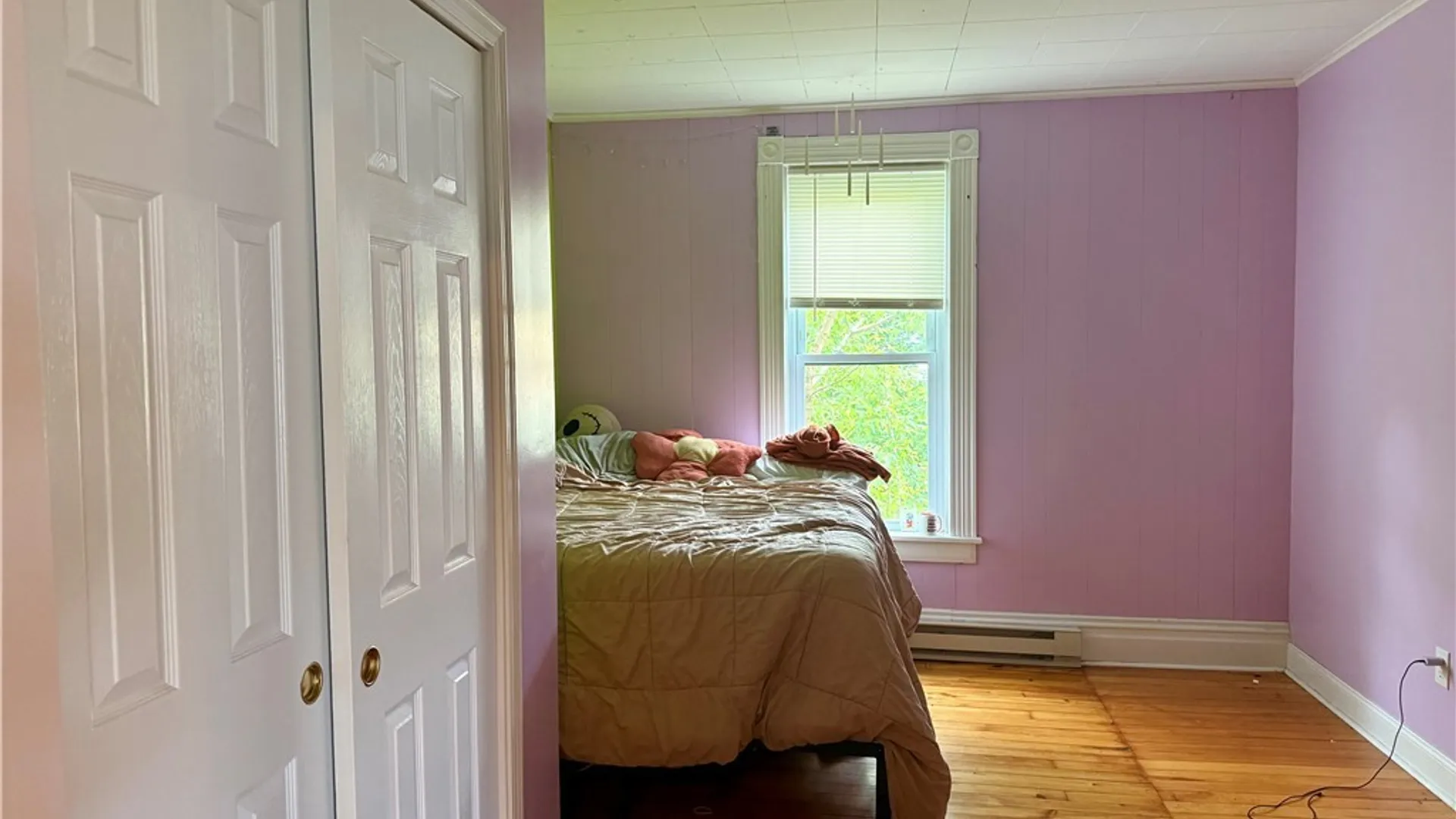 Property at 1696 Albany Street, DeRuyter, NY 13052 23