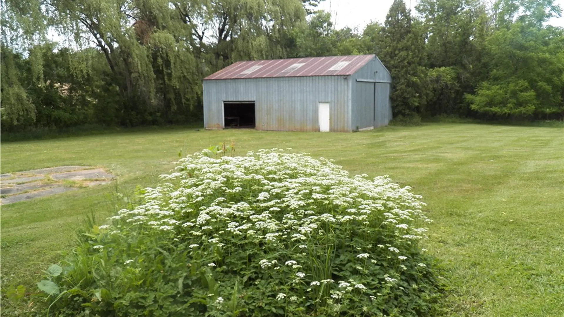 Property at 6720 Rice Road, East Bloomfield, NY 14564 5
