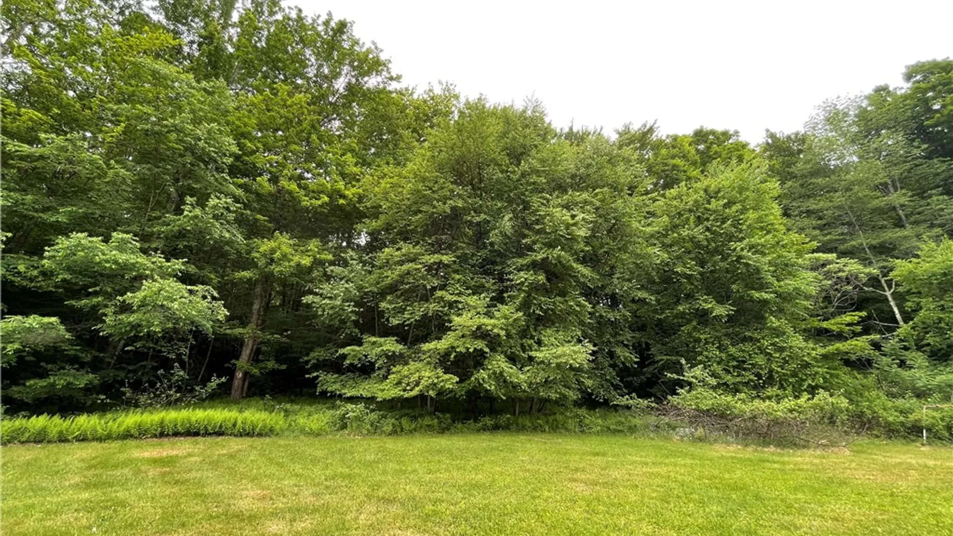 Property at 795 County Road 27, Oxford, NY 13733 35