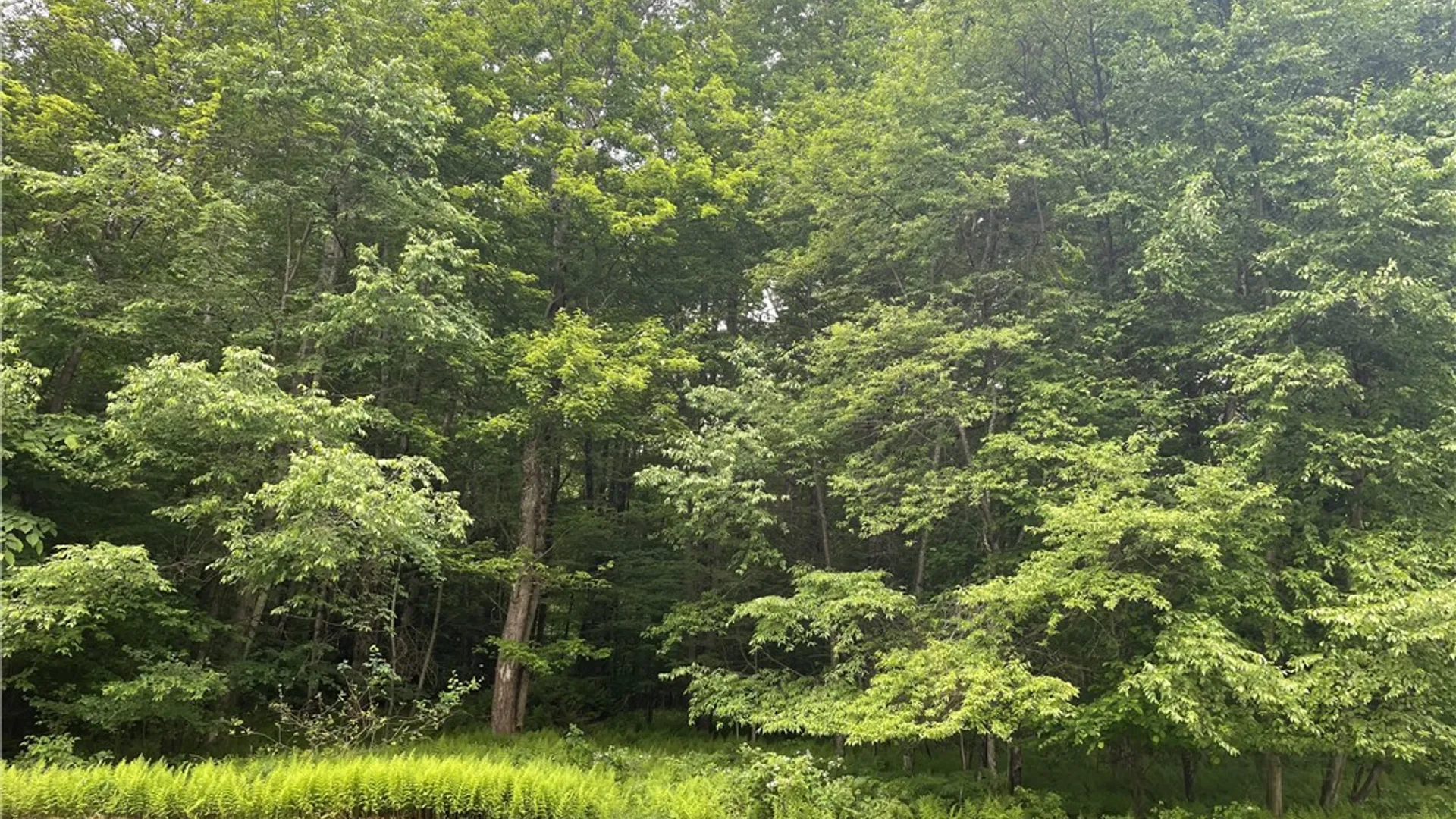 Property at 795 County Road 27, Oxford, NY 13733 36