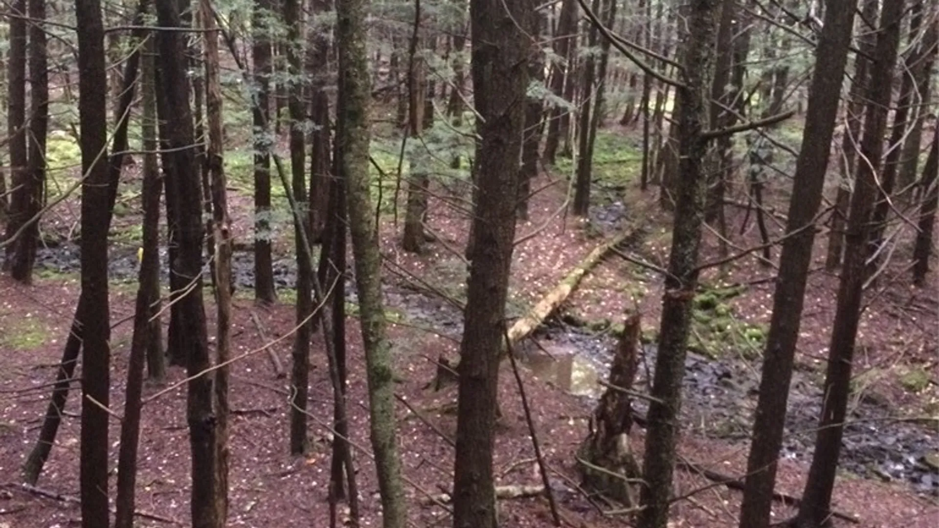 Property at 795 County Road 27, Oxford, NY 13733 43
